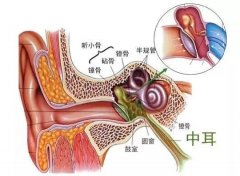 慢性化脓性中耳炎的病因及症状表现-重庆耳鼻喉