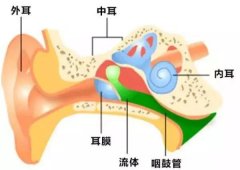 慢性化脓性中耳炎的病因及治疗-重庆耳鼻喉